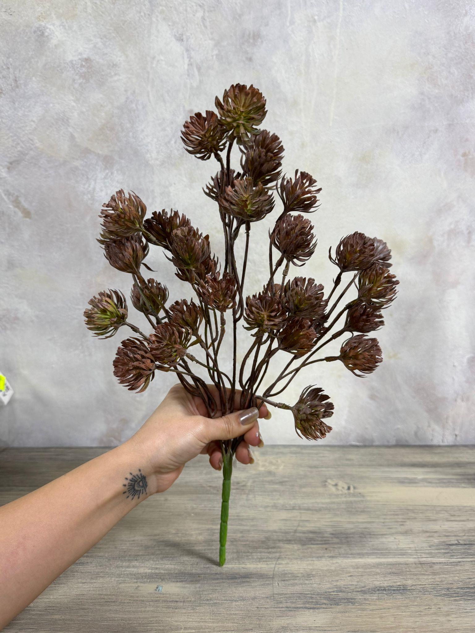 KATLI SUKULENT 40 CM