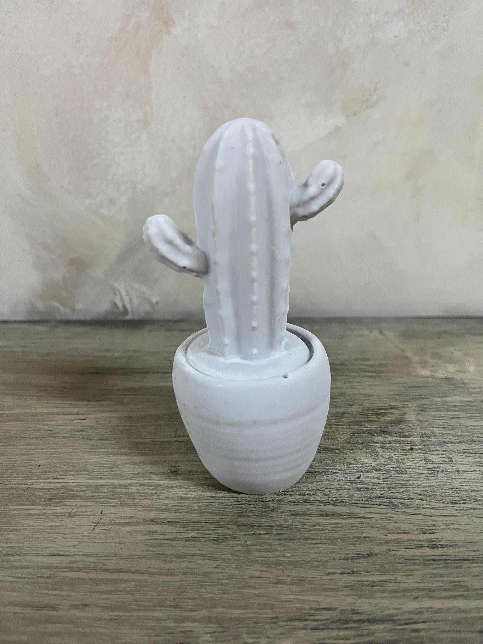 KÜÇÜK KAKTÜS 12X5 CM