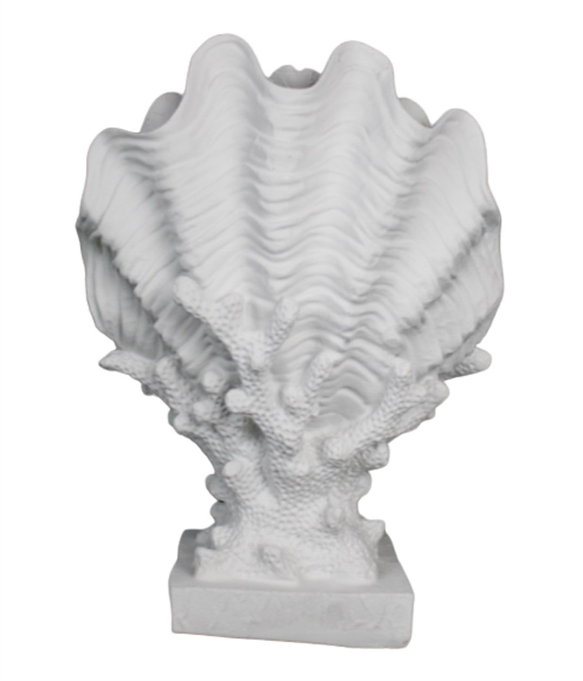 MERCAN ÜZERİNDE KAPALI DENİZ KABUĞU 30X22 CM