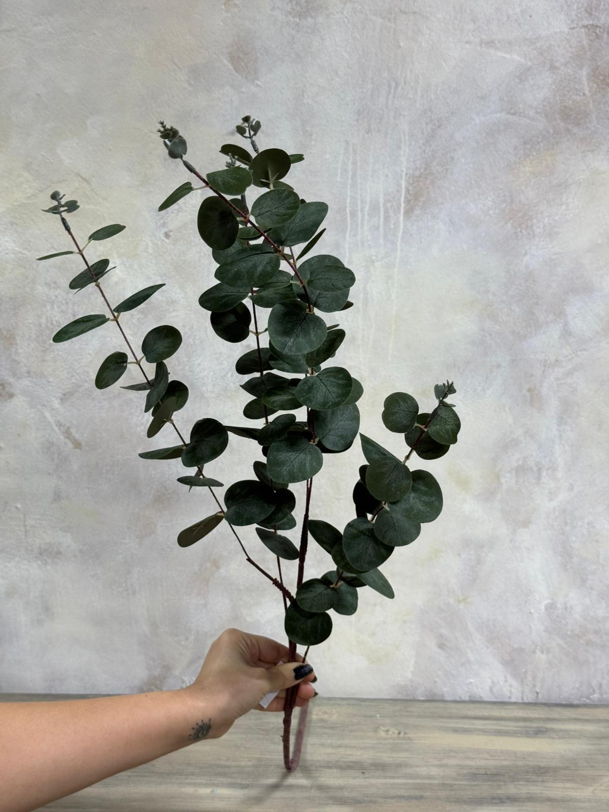 OKALİPTUS YEŞİL YAPRAKLI 100 CM