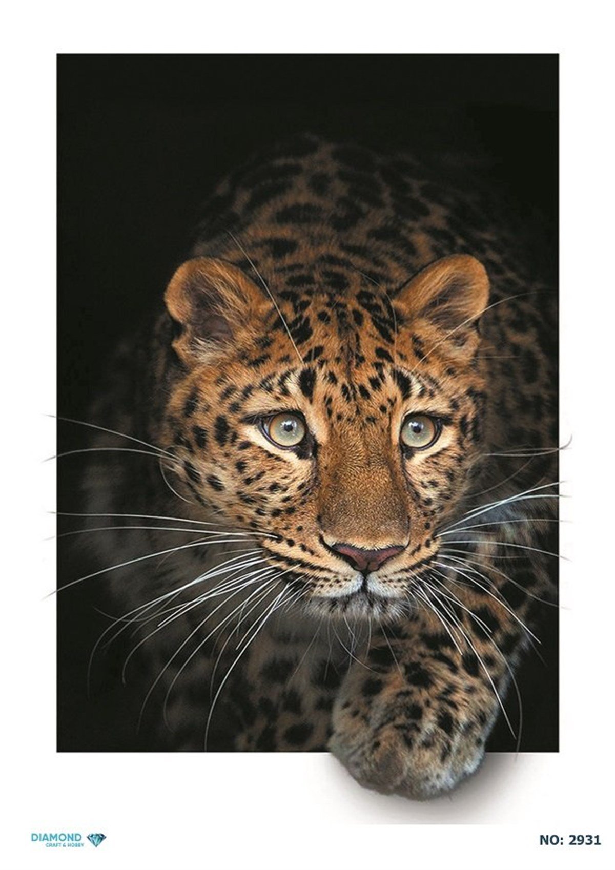 PİRİNÇ DEKOPAJ 2931