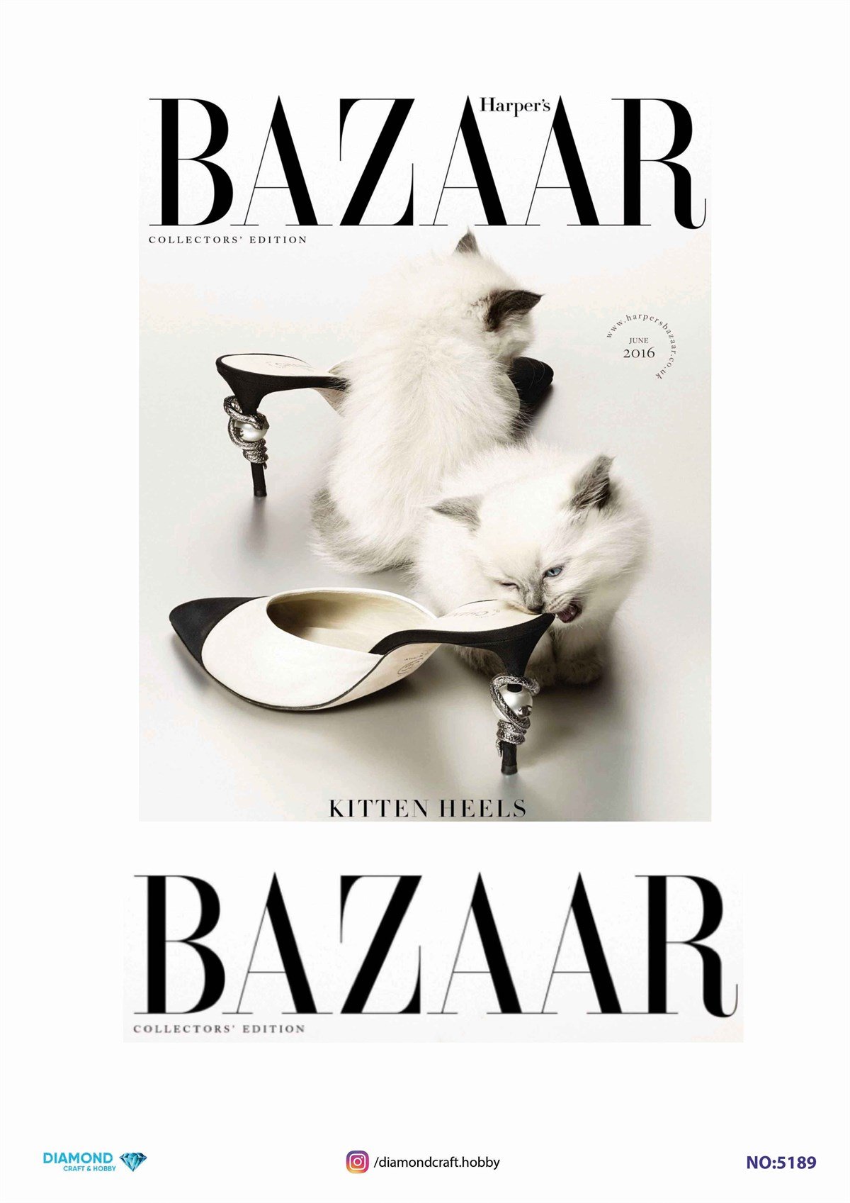 PİRİNÇ DEKOPAJ 5189