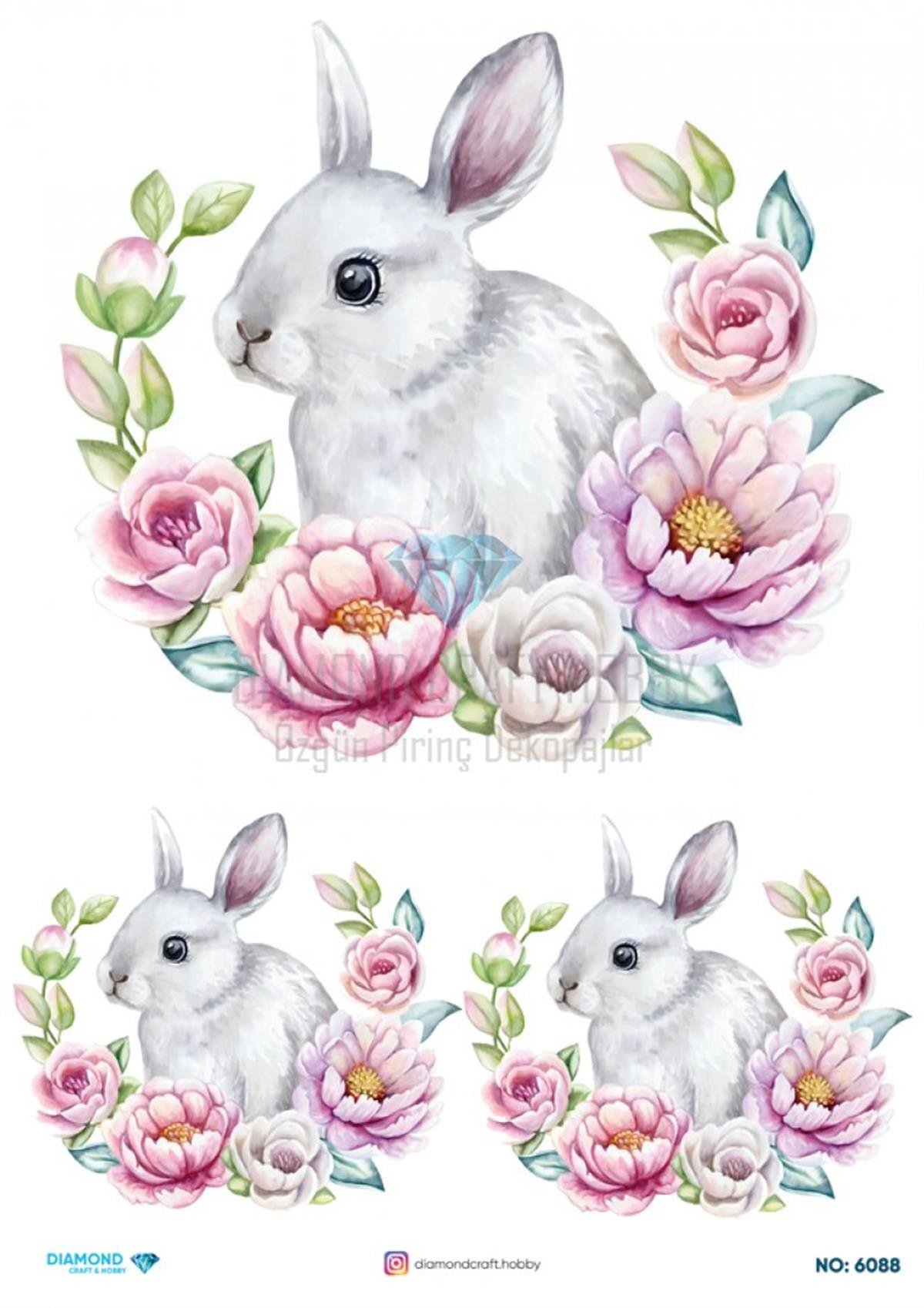 Pirinç Kağıdı 6088