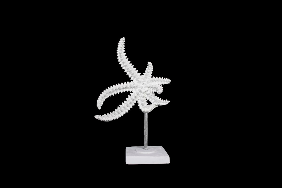 POLYESTER KÜÇÜK DENİZ YILDIZI