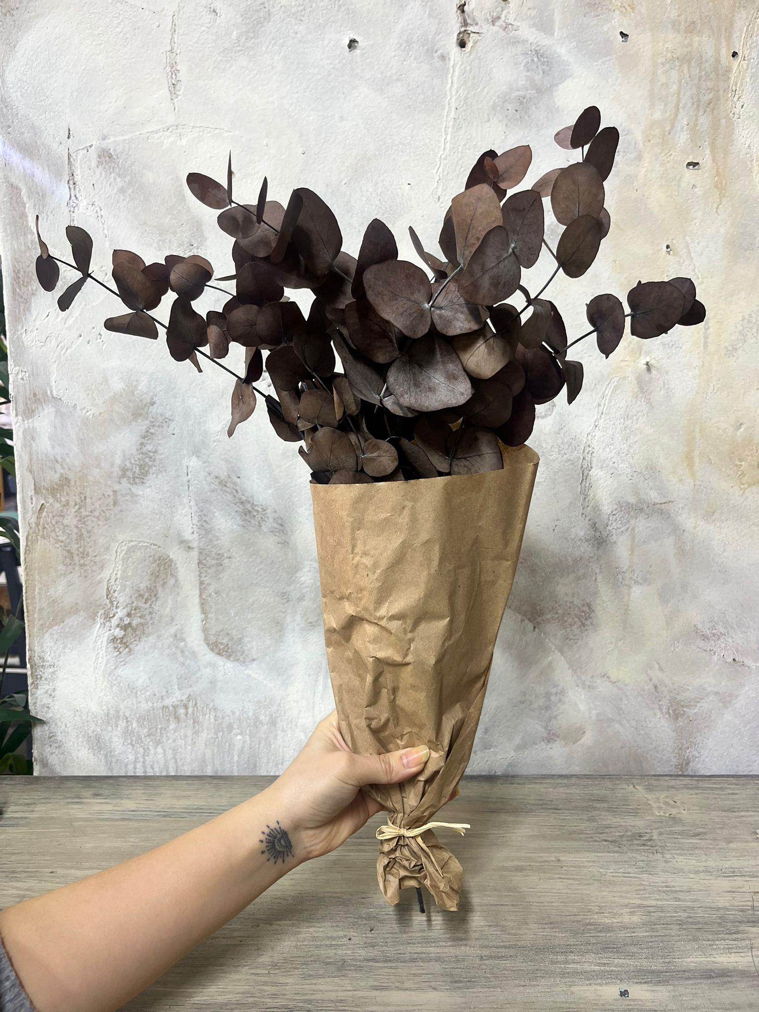 ŞOKLANMIŞ OKALİPTUS KAHVERENGİ 57 CM