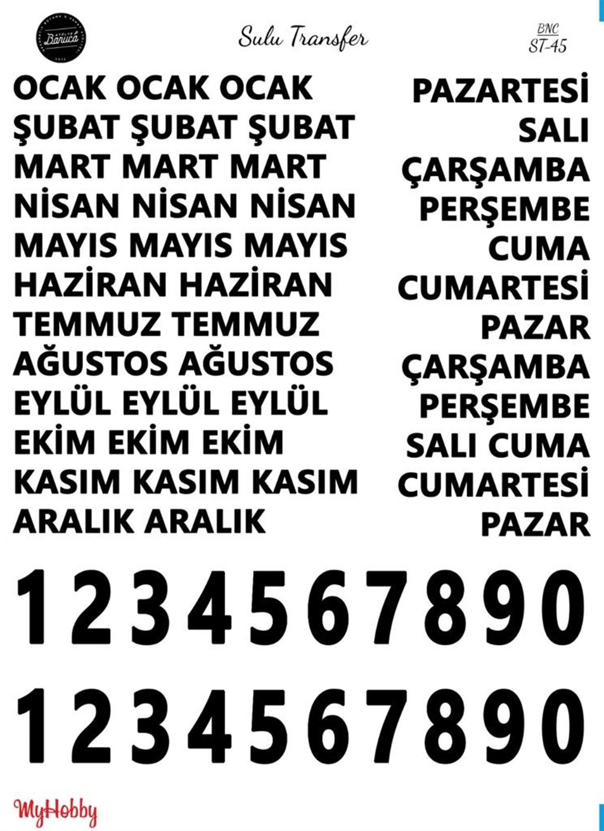 SULU TRANSFER BNC 45