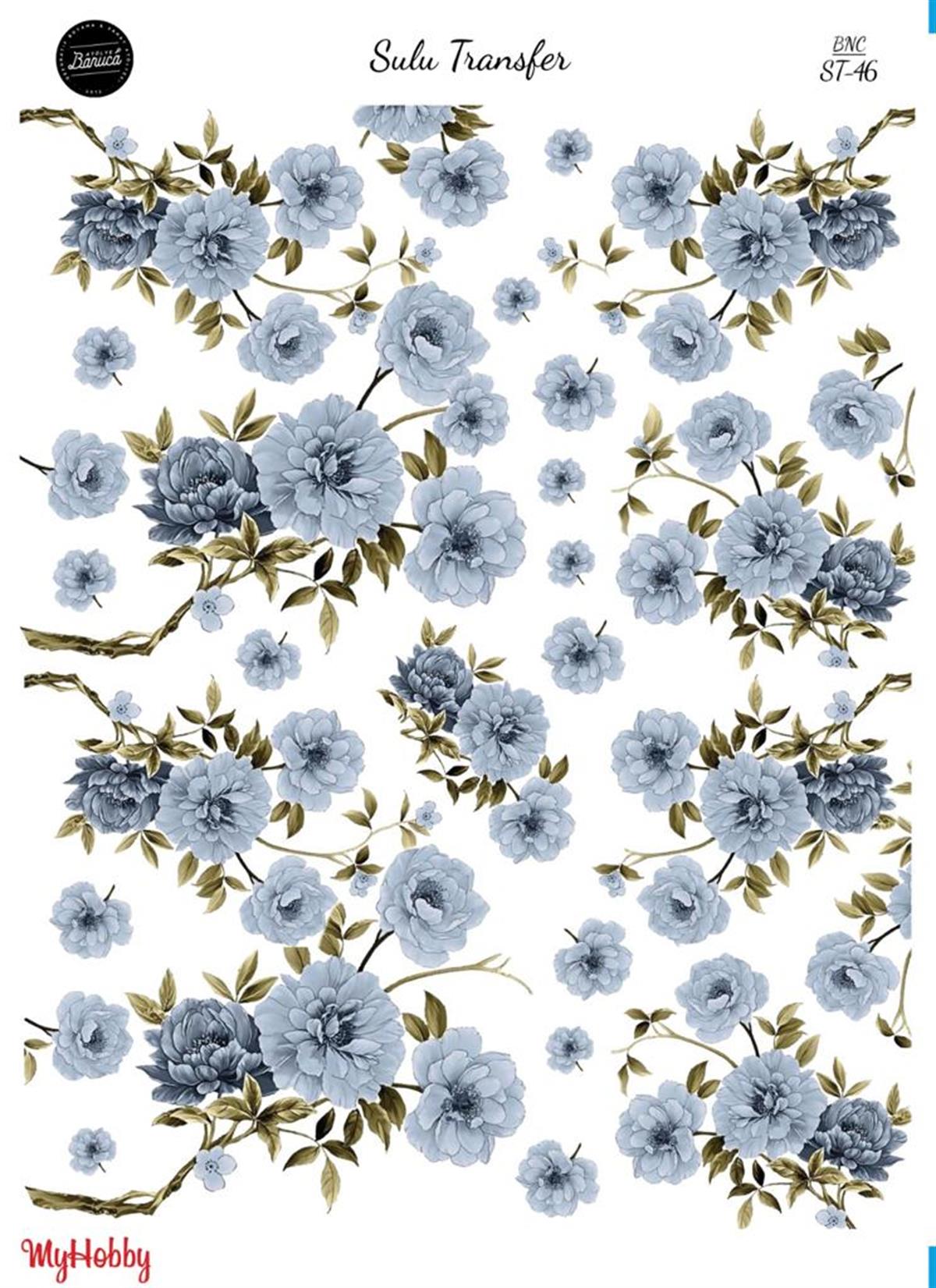 SULU TRANSFER BNC 46