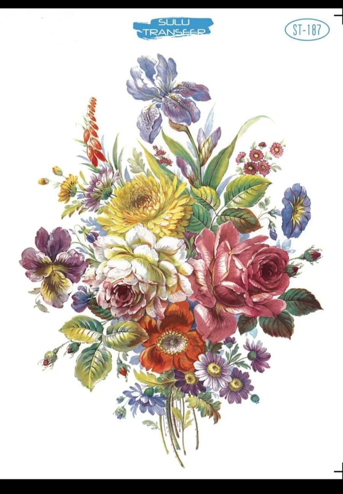 SULU TRANSFER ST-187