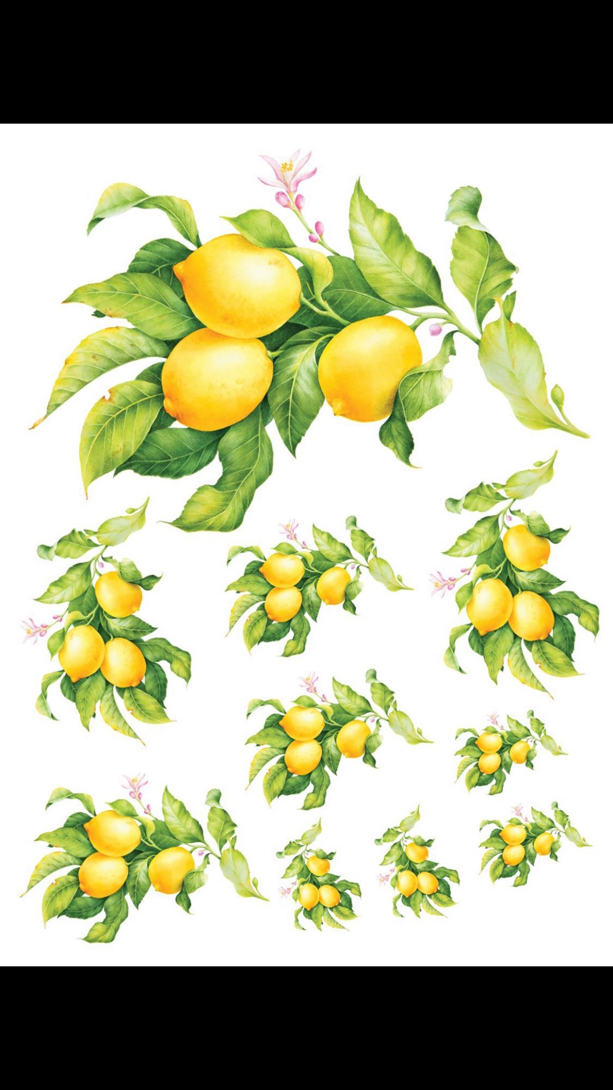 SULU TRANSFER ST-352