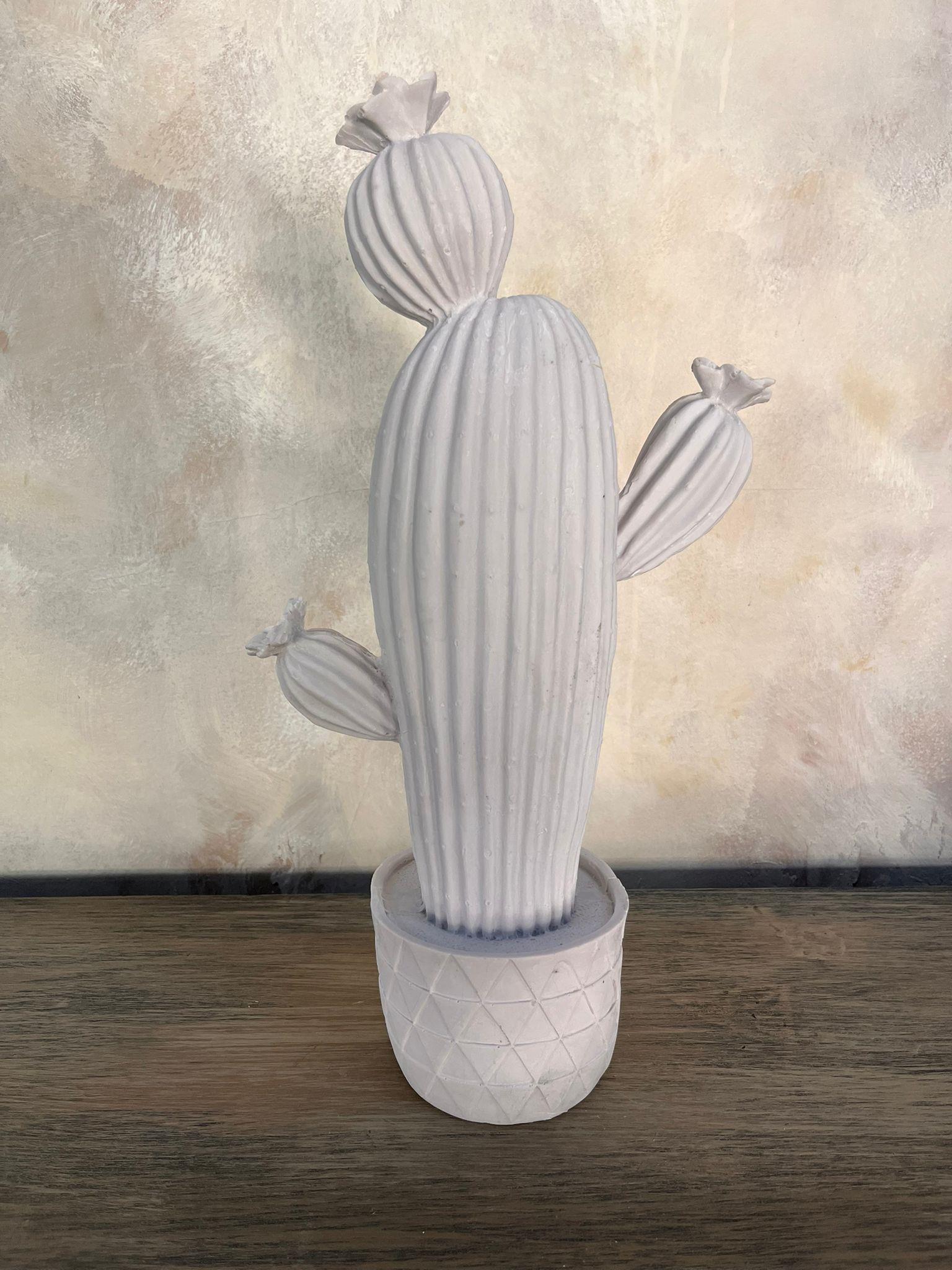 TEKLİ KAKTÜS 38X21 CM