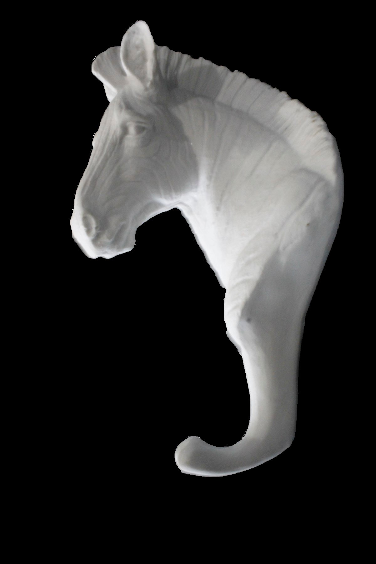 ZEBRA DUVAR ASKISI