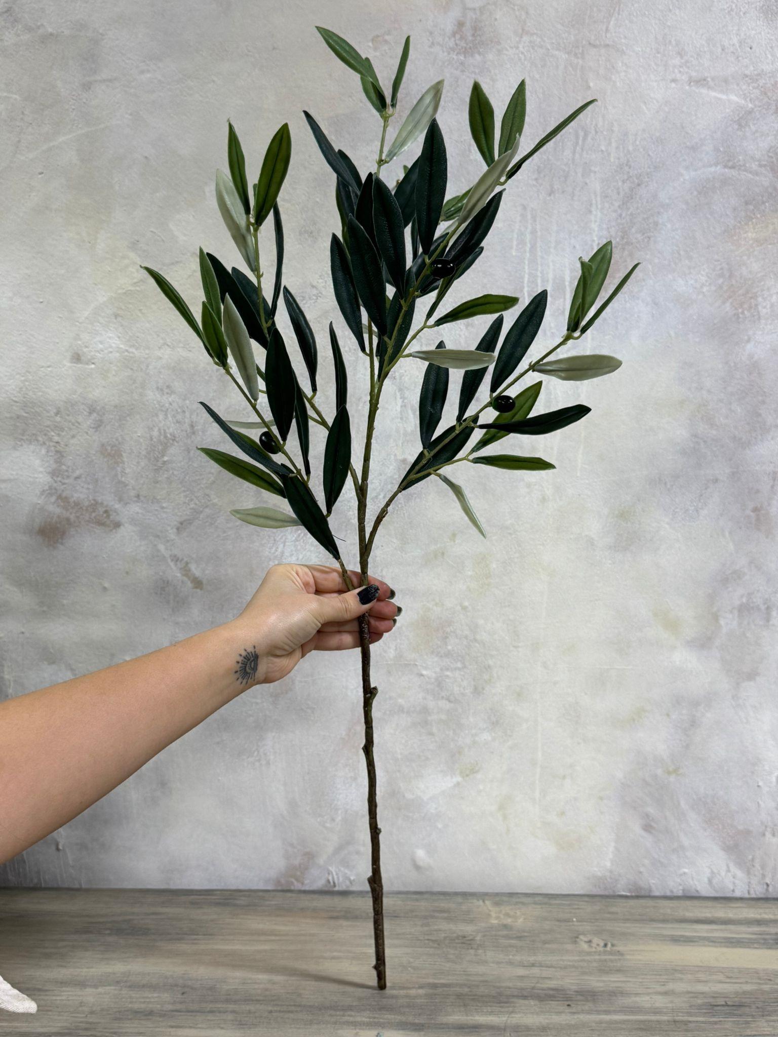 ZEYTİN DALI 75 CM