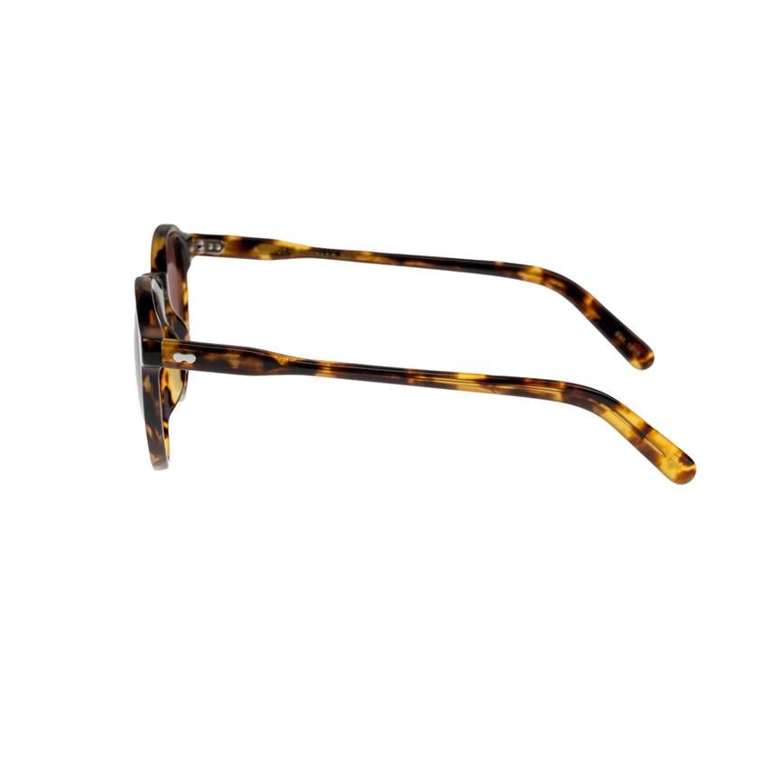 Moscot MILTZEN CLASSIC HAVANA 49 Unisex Güneş Gözlüğü