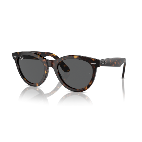 RayBan 2241 902/B1 51