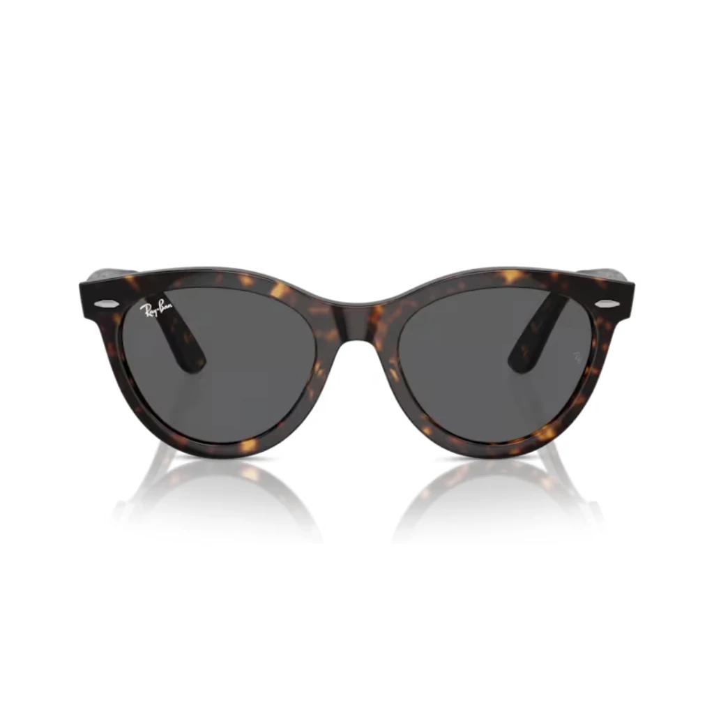 RayBan 2241 902/B1 51