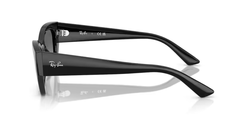 RayBan 4430 667711 52