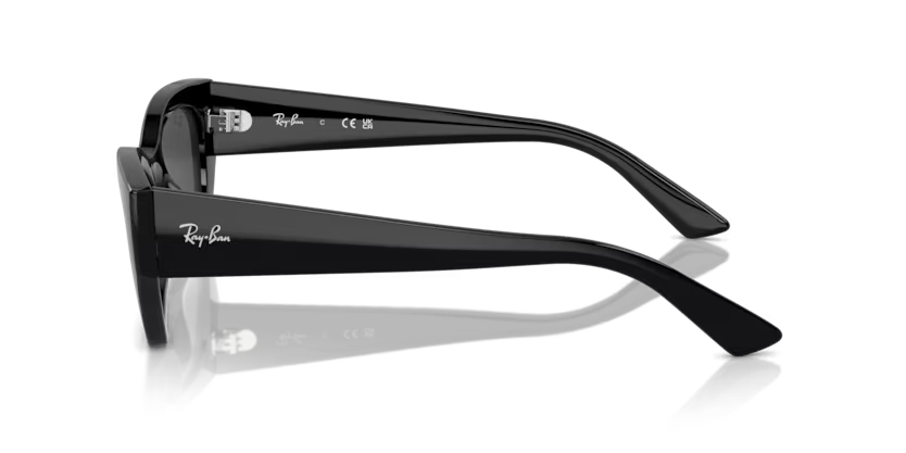 RayBan 4430 667787 52