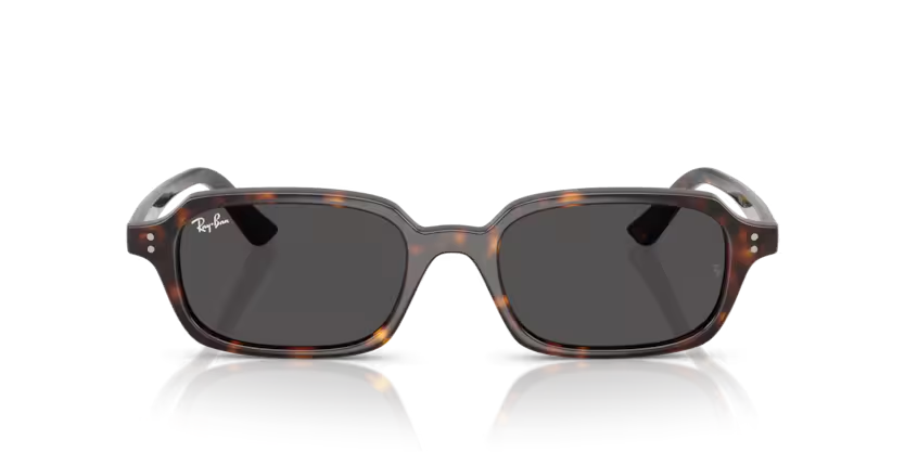 RayBan 4455 135987 49