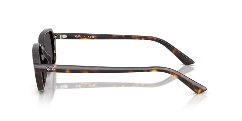 RayBan 4455 135987 49