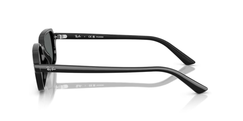 RayBan 4455 667781 49