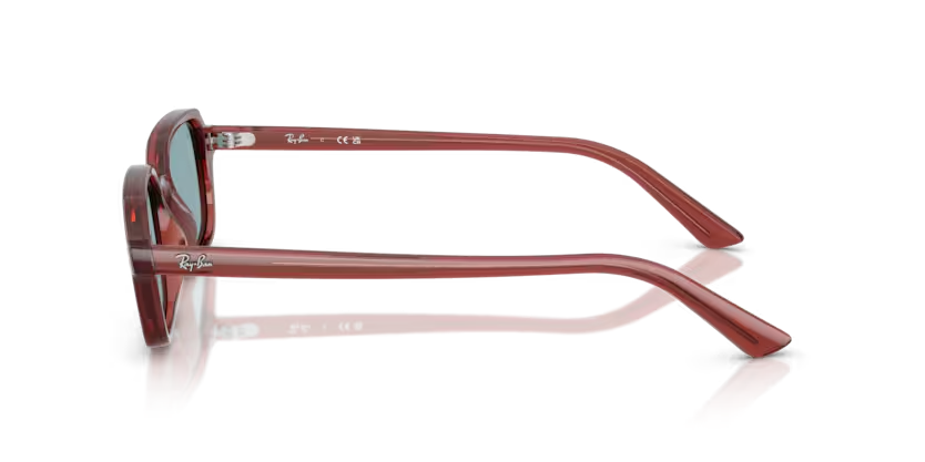 RayBan 4455 680980 49