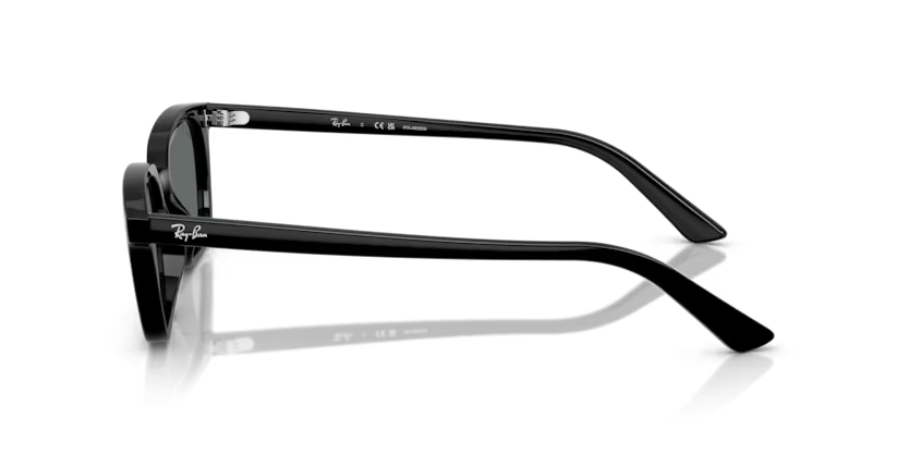 RayBan 4456 667781 50