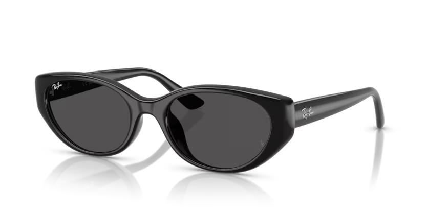 RayBan 4457D 667787 55