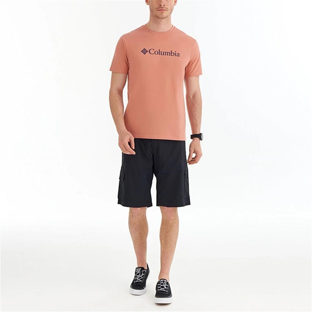 Columbia Csc M Basic Big Logo Brushed Ss Tee Erkek Tişört