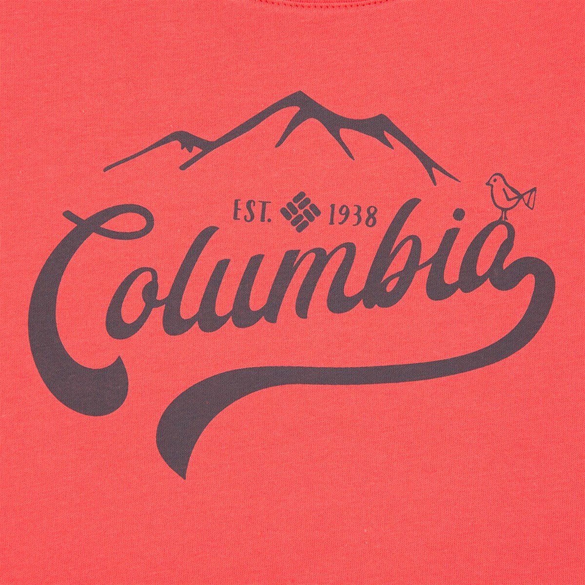Columbia Outdoor Play Ss Tee Kadın Tişört