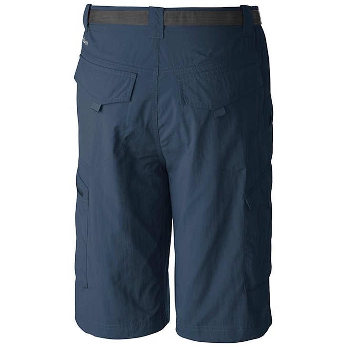 Columbia Silver Ridge Cargo Erkek Şort