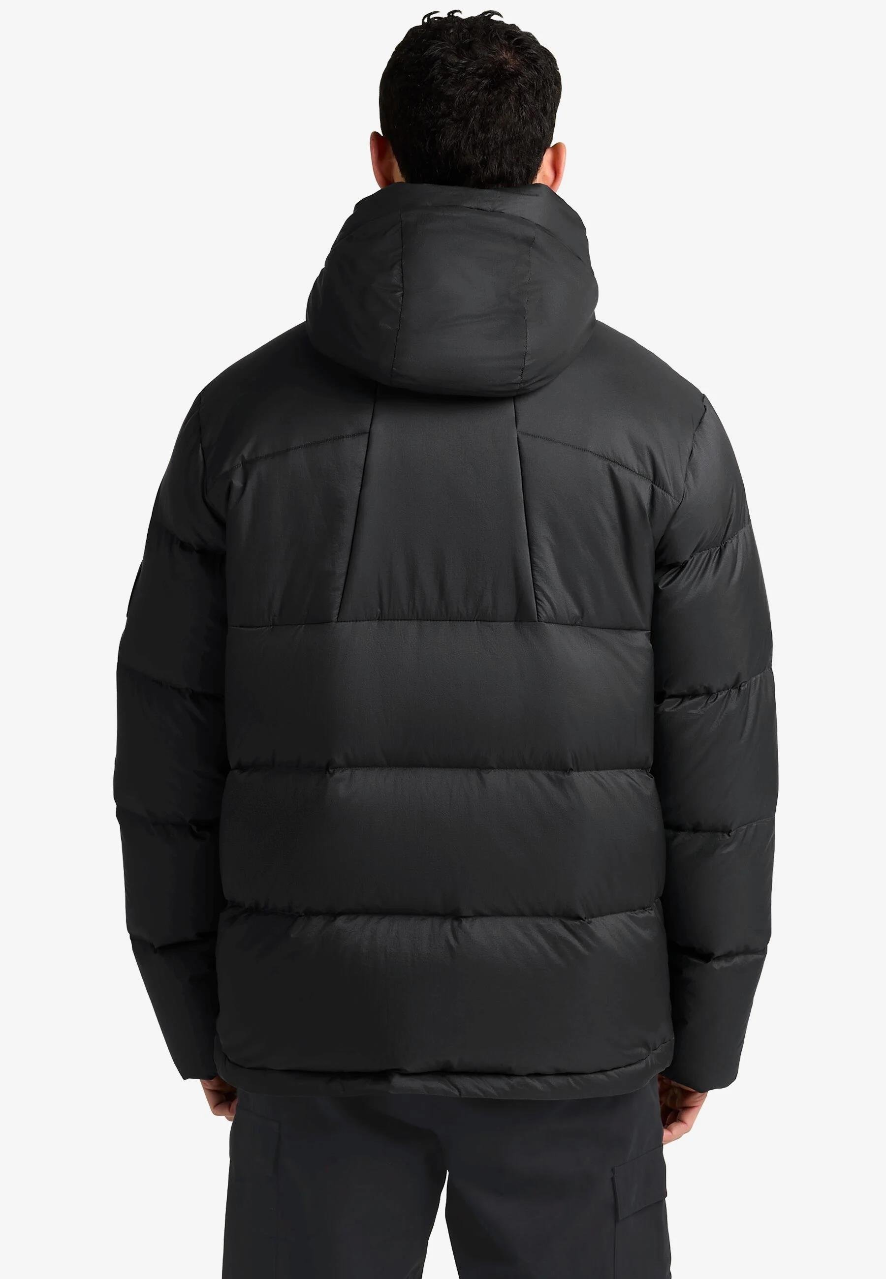 Jack Wolfskin Icy Hıll Jkt M Rds Erkek Mont A65291