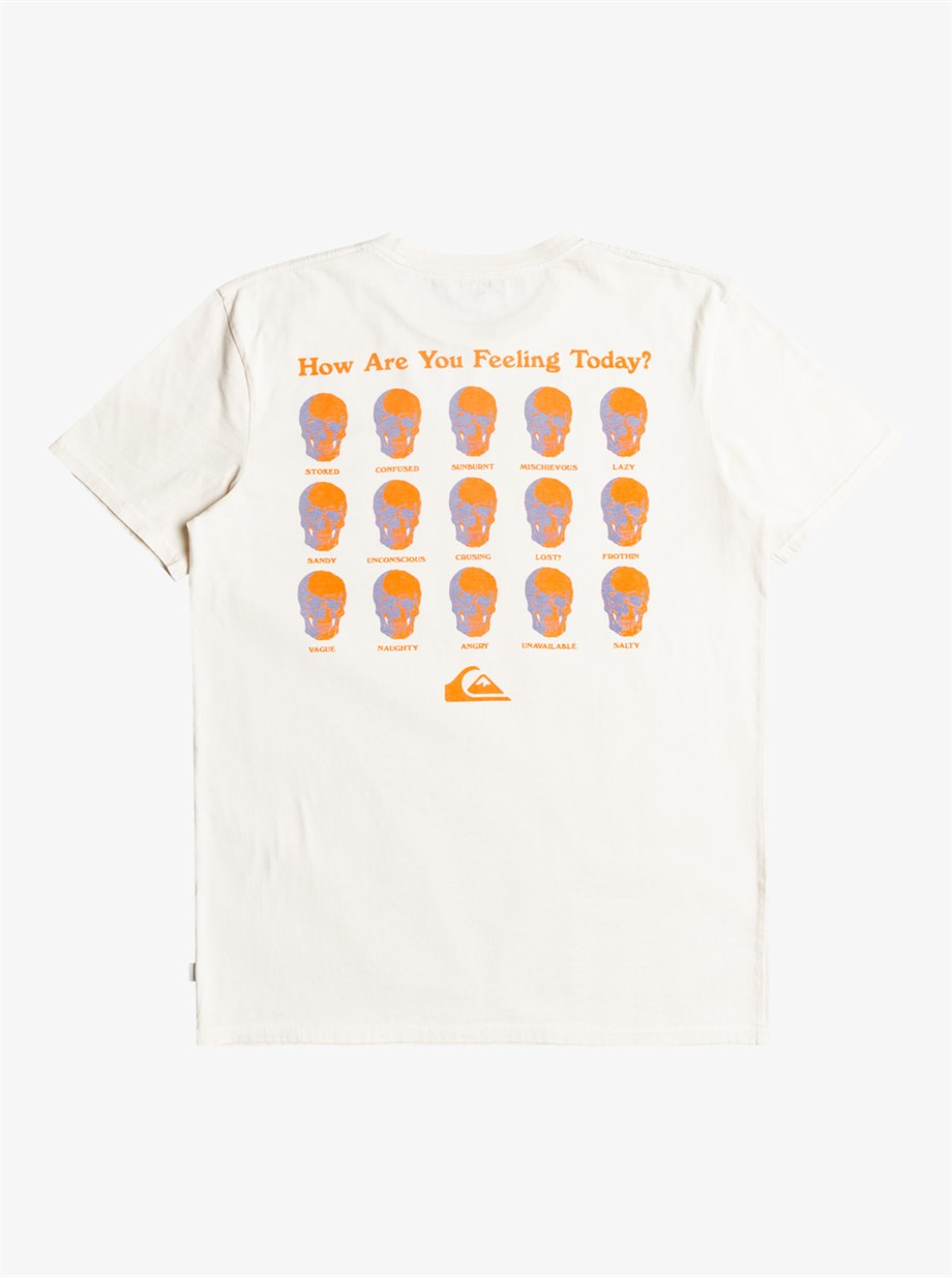 Quiksilver How Are You Feeling Ss Erkek Tişört