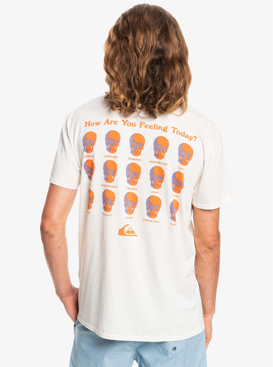 Quiksilver How Are You Feeling Ss Erkek Tişört
