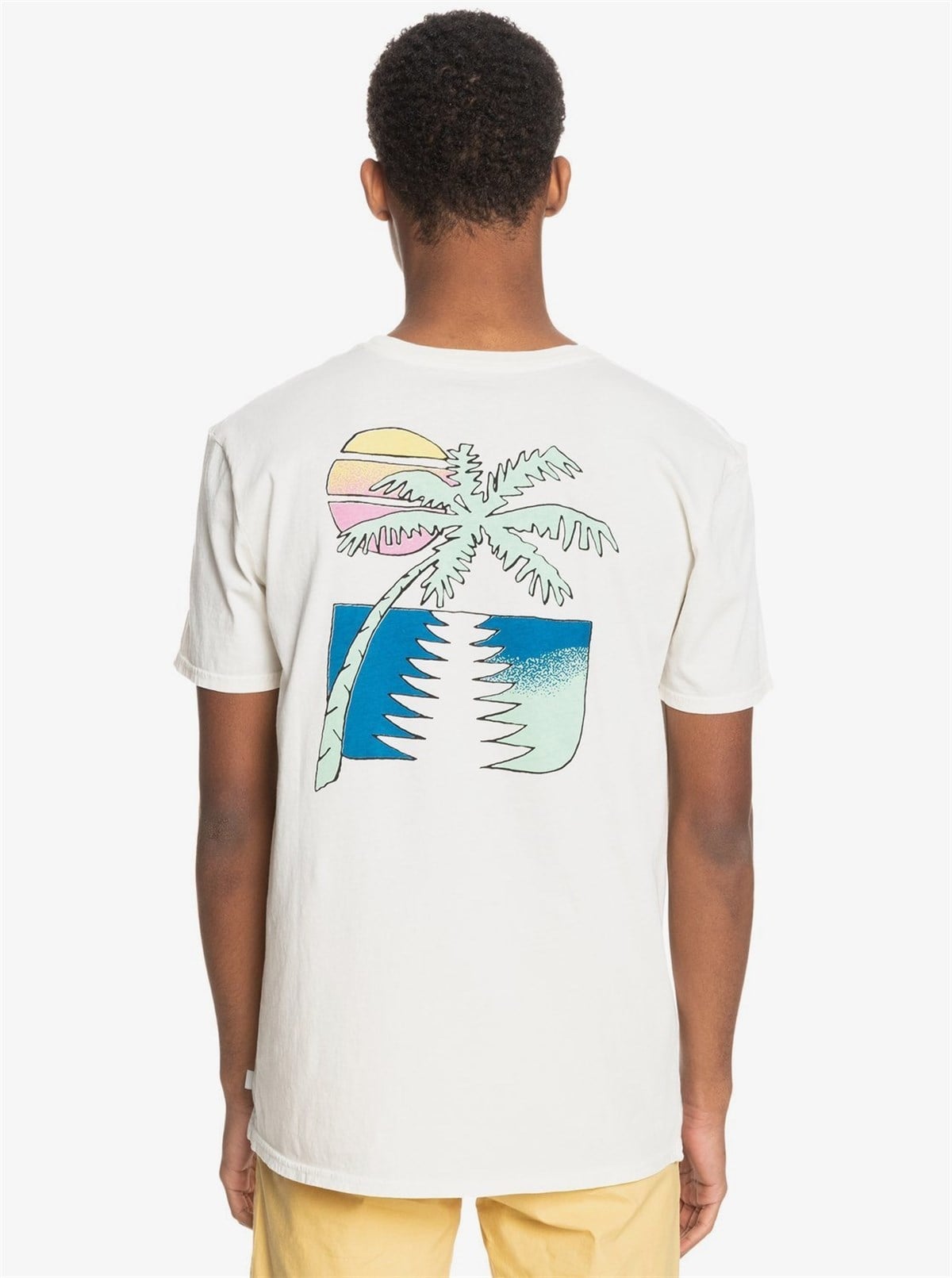 Quiksilver Island Pulse Ss Erkek Tişört