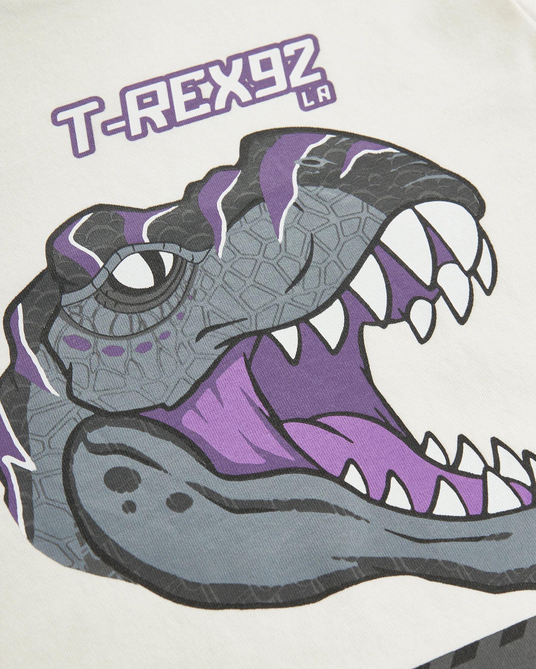 Skechers Graphic Tee B Short Sleeve Çocuk Tişört SK241093