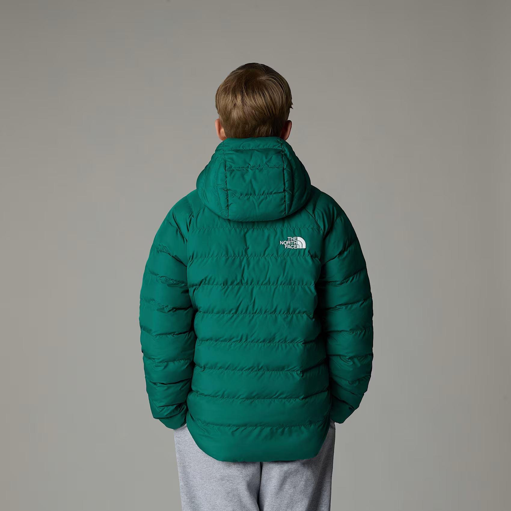 The North Face B Reversible Perrito Hooded Jacket Erkek Ceket NF0A88TWNL11