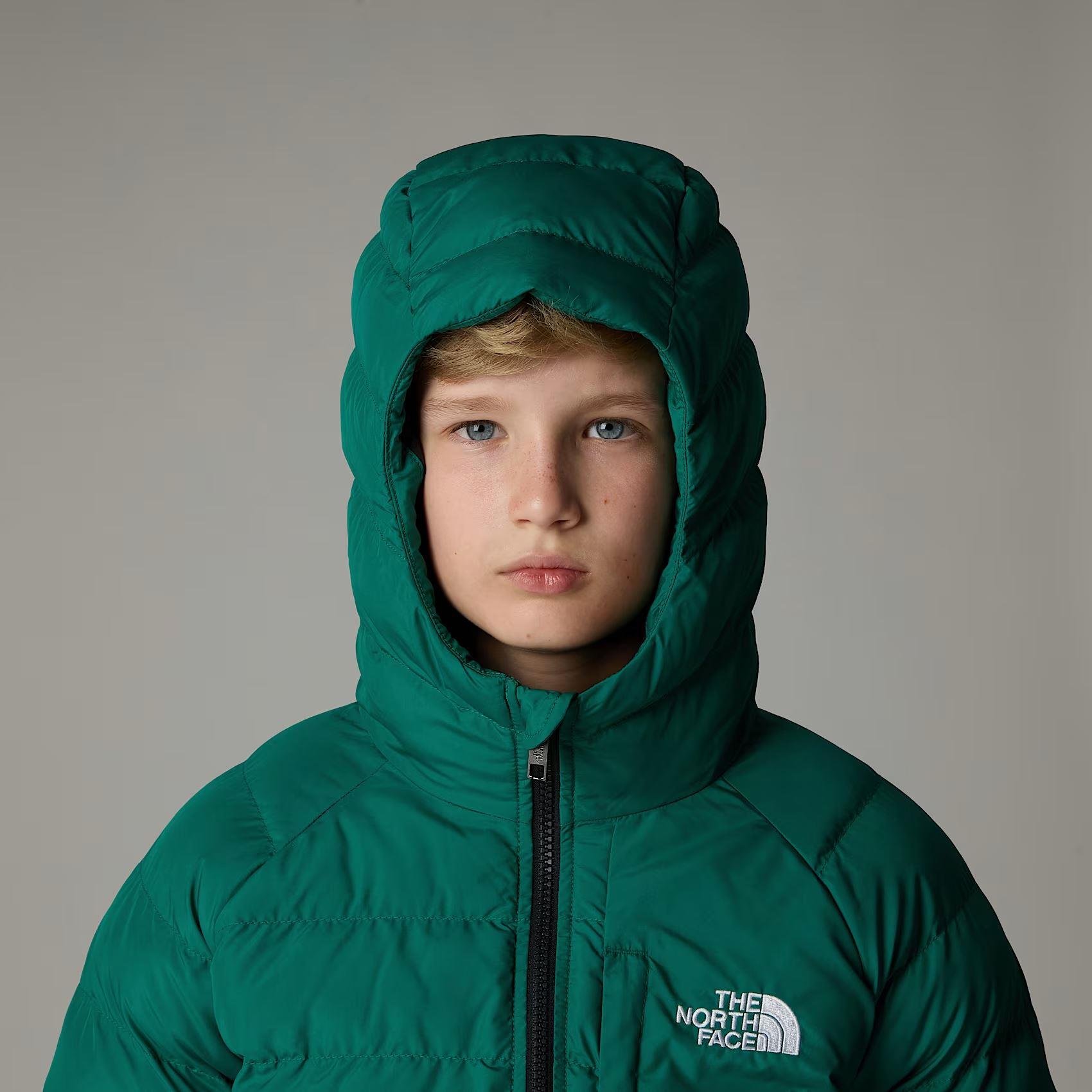 The North Face B Reversible Perrito Hooded Jacket Erkek Ceket NF0A88TWNL11