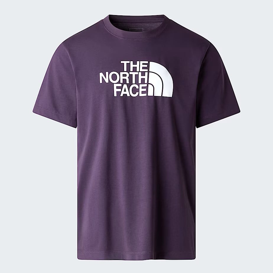 The North Face M Evolution Half Dome Regular Short Slee Erkek Tişört NF0A8B6JG5O1