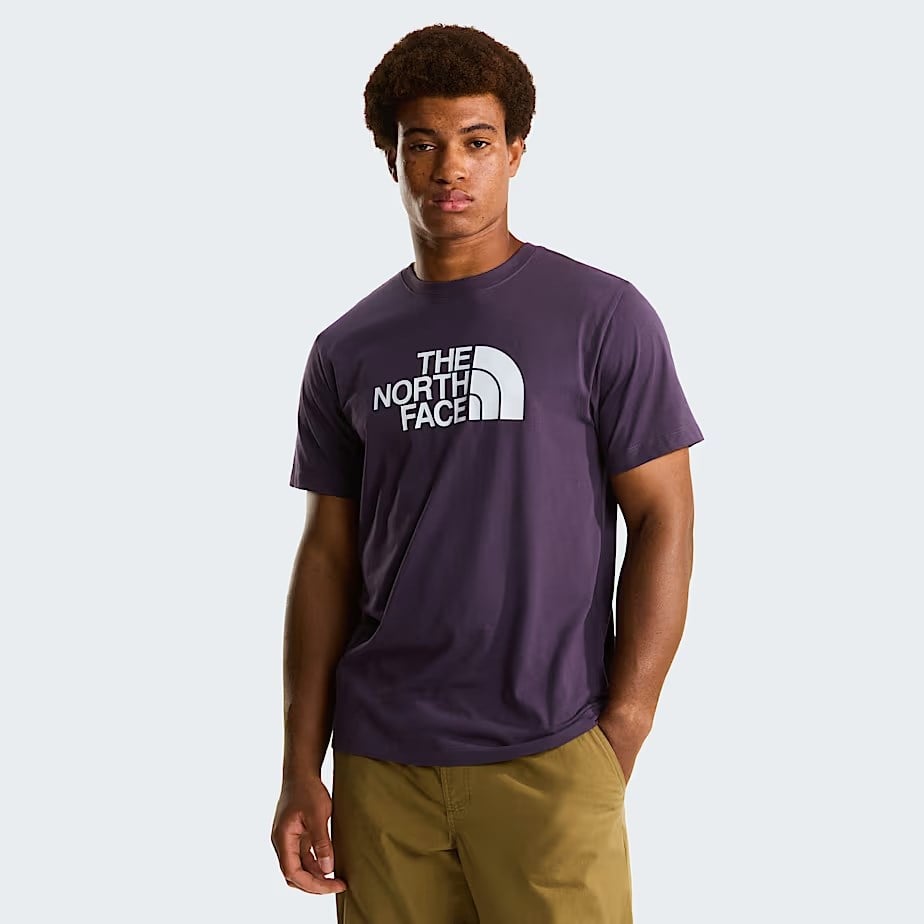 The North Face M Evolution Half Dome Regular Short Slee Erkek Tişört NF0A8B6JG5O1