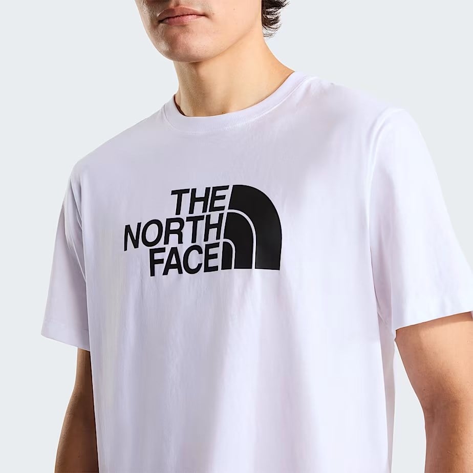 The North Face M Evolution Half Dome Regular Short Slee Erkek Tişört NF0A8B6JLA91