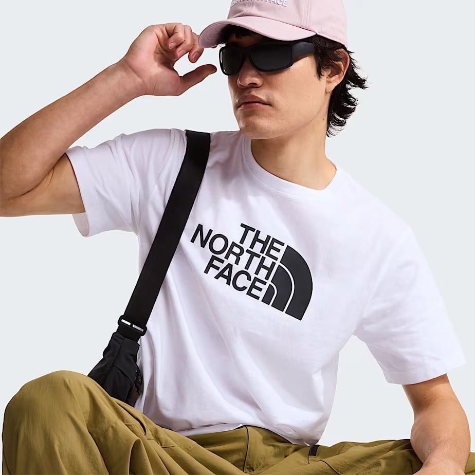 The North Face M Evolution Half Dome Regular Short Slee Erkek Tişört NF0A8B6JLA91