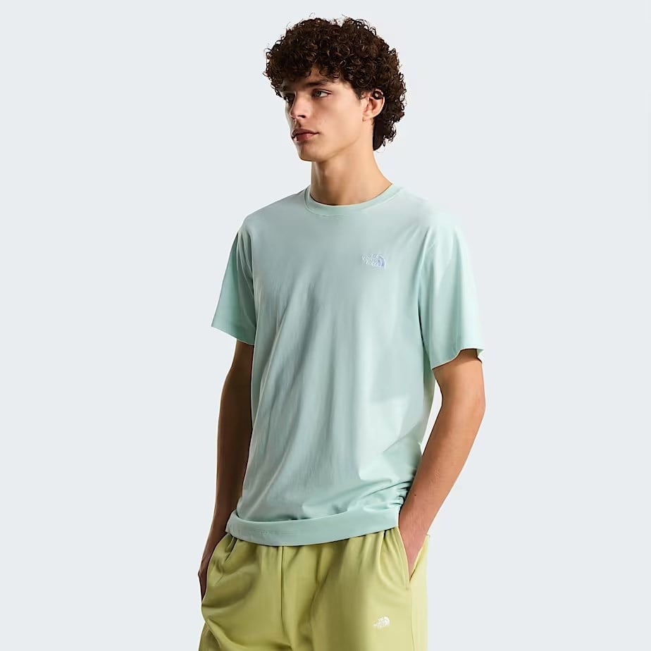 The North Face M Evolution Simple Dome Regular Short Sl Erkek Tişört NF0A8CZ2G701