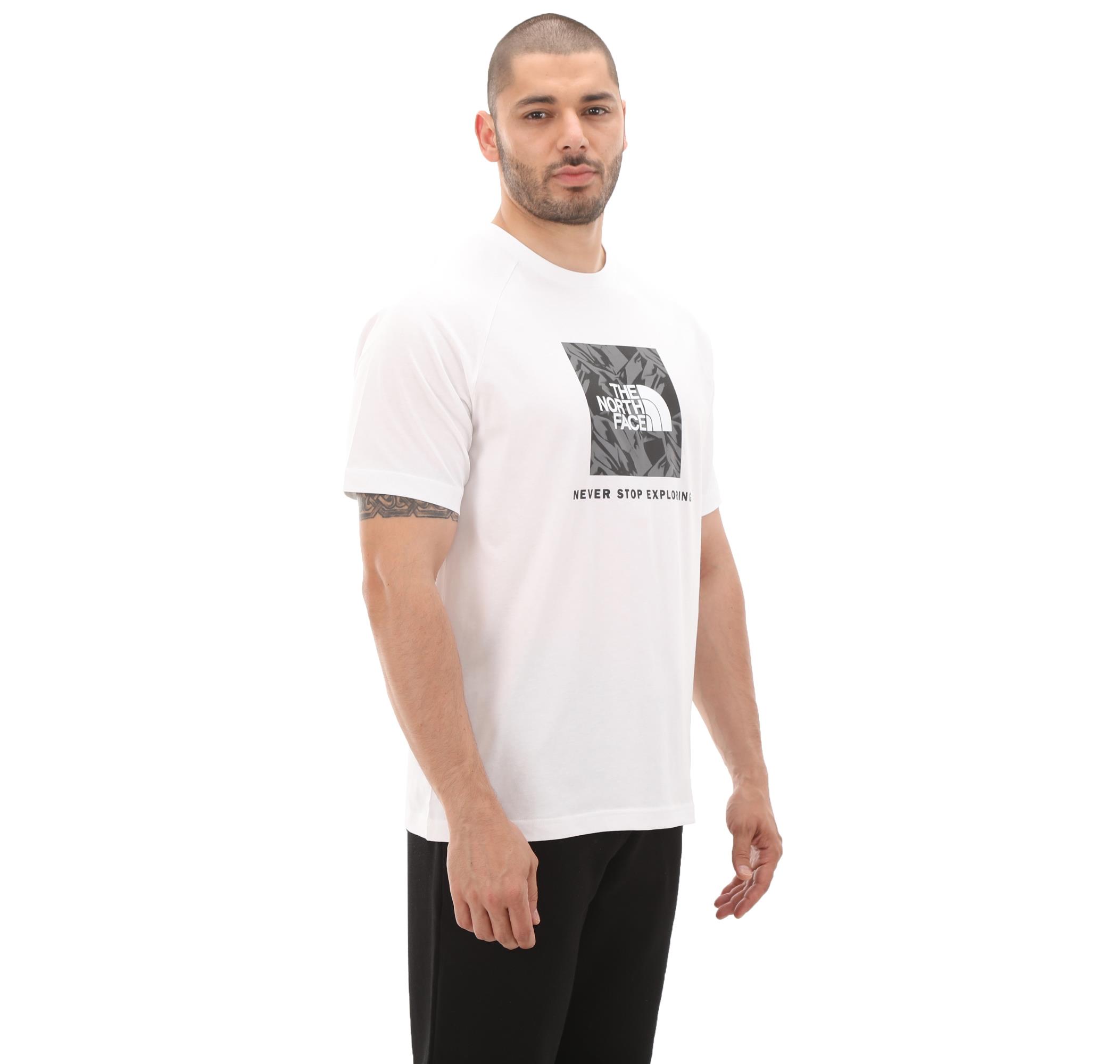 The North Face M S/S Raglan Redbox Tee Erkek Tişört NF0A87NJZI51