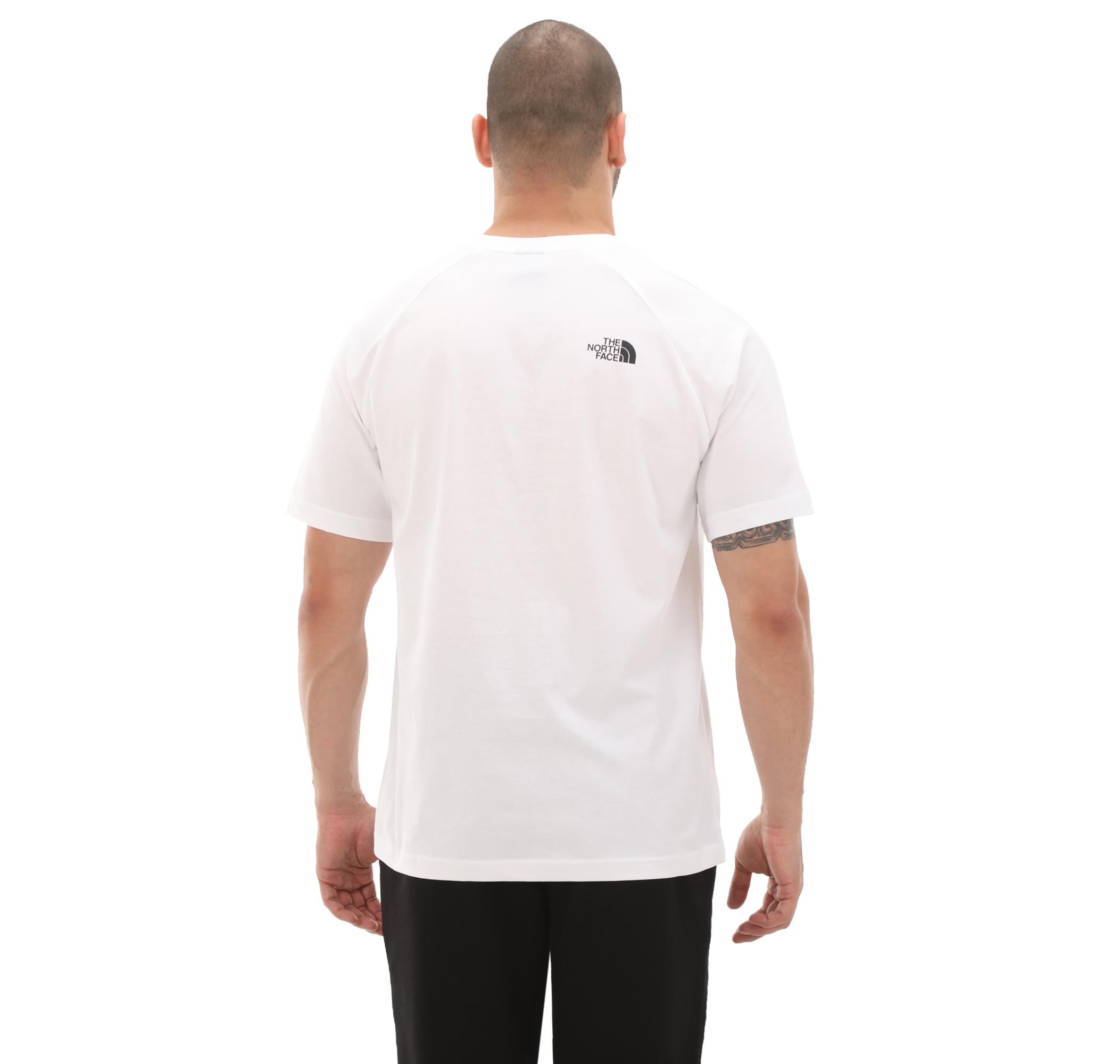 The North Face M S/S Raglan Redbox Tee Erkek Tişört NF0A87NJZI51