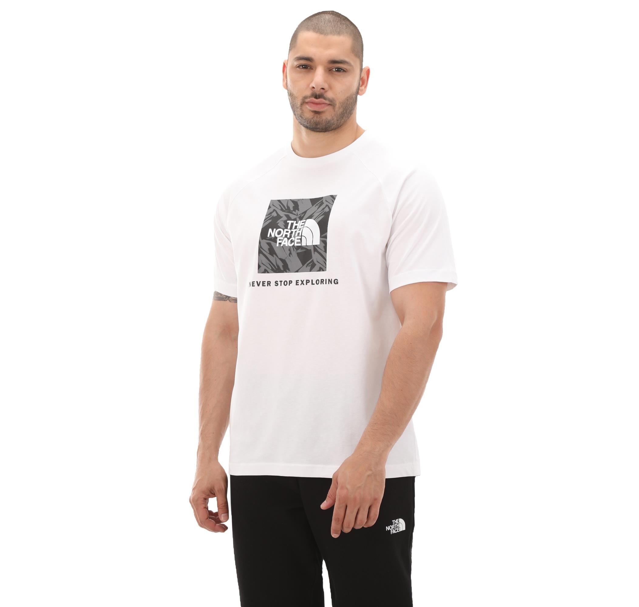 The North Face M S/S Raglan Redbox Tee Erkek Tişört NF0A87NJZI51