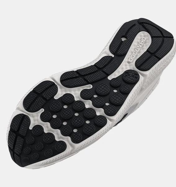 Under Armour Ua Charged Assert 10 Erkek Koşu Ayakkabısı 3026175