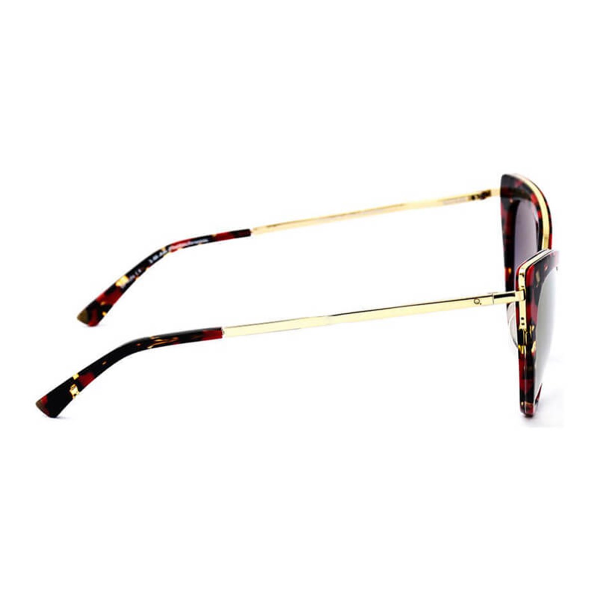 Etnia Barcelona Amelia BKRD HED. Kadın Güneş Gözlüğü