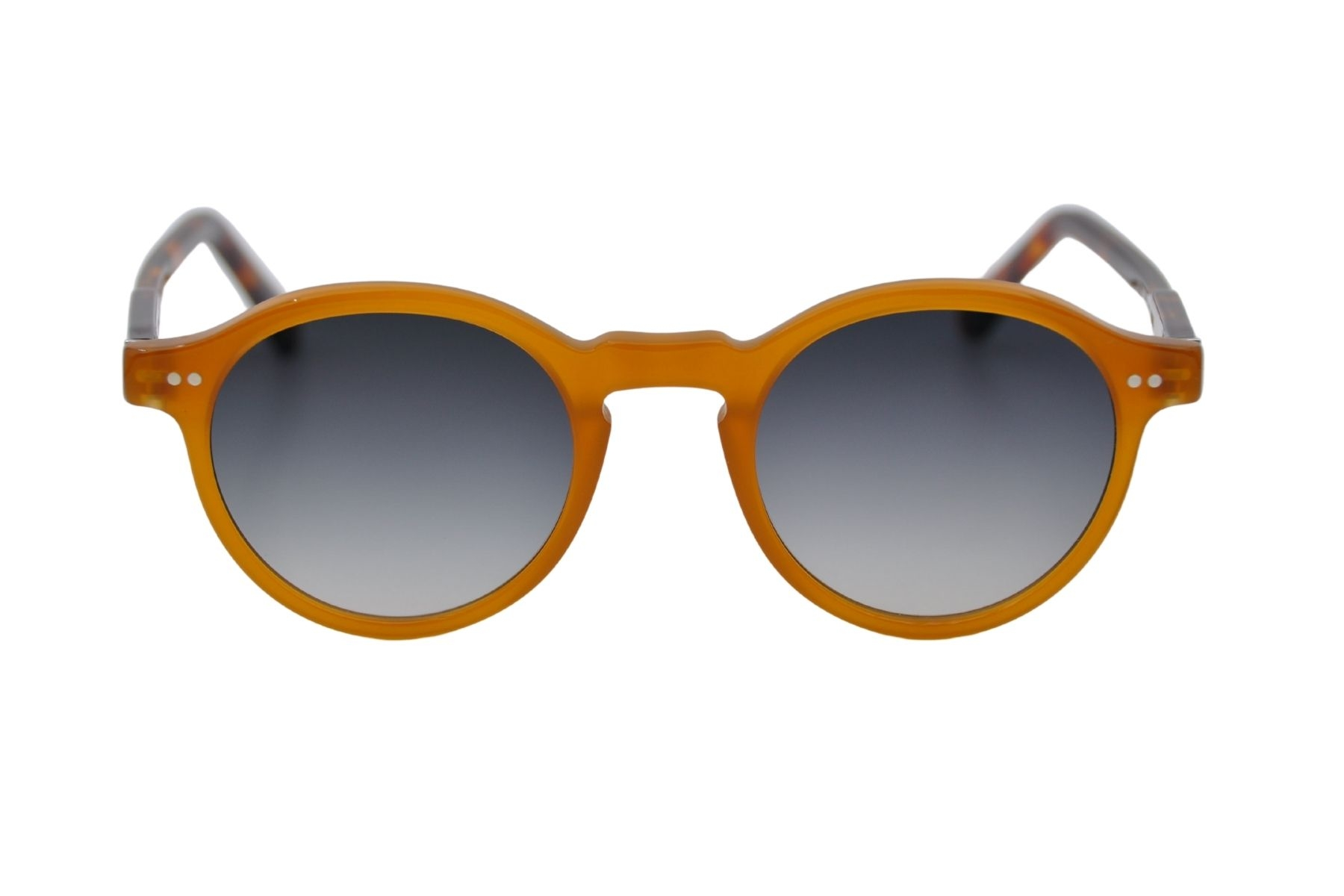 Franco Vital ADOM HONEY 46-22-145 Unisex Güneş Gözlüğü
