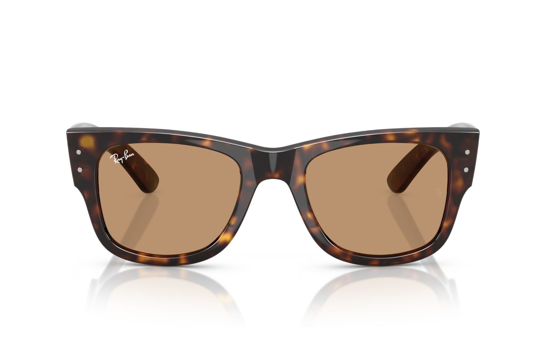 Ray-Ban 0RB0840S 902/53 51