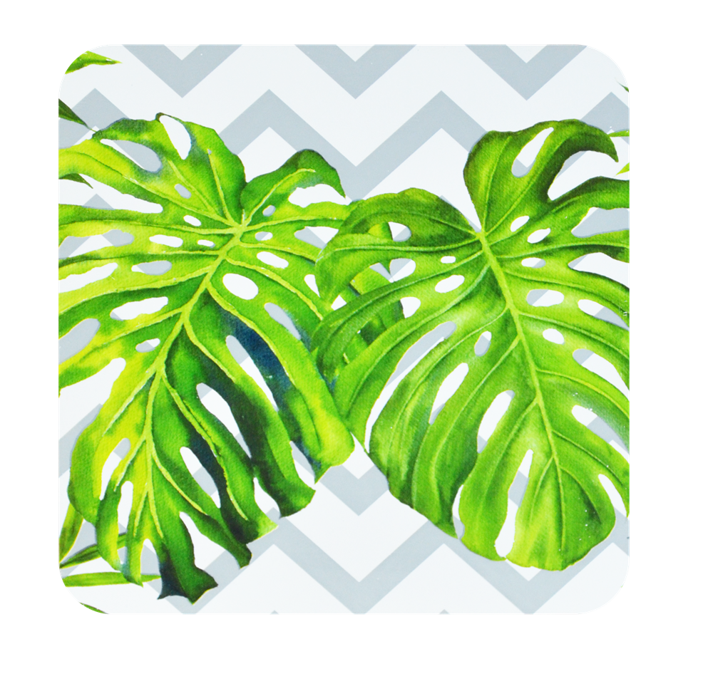 PAÇİ-BAMBU AMAZON NİHALE